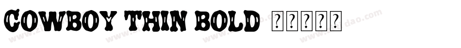 Cowboy Thin Bold字体转换